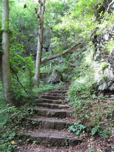 IMG_1849.JPG