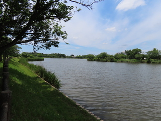 IMG_1863.JPG