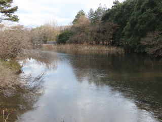 pond