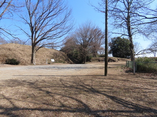 IMG_2165.JPG