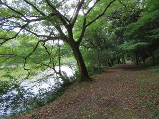 IMG_2436.JPG