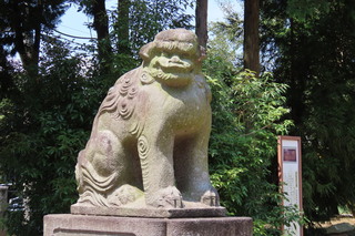 IMG_2529.JPG