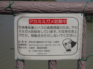 notice