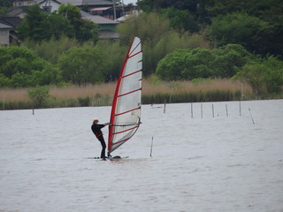 IMG_2642.JPG