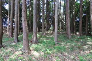 IMG_2974.JPG