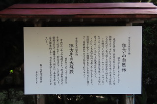 explanation