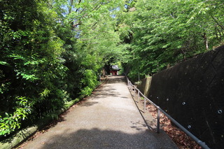 entrance path