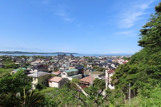 view