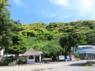 back hills