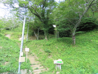 IMG_3279.JPG