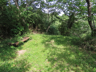 IMG_3296.JPG