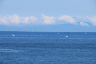IMG_3310.JPG