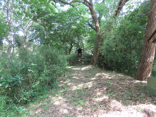 IMG_3367.JPG