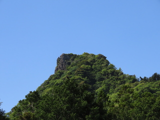 IMG_3544.JPG