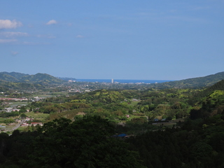 IMG_3586.JPG