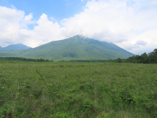 IMG_3597.JPG