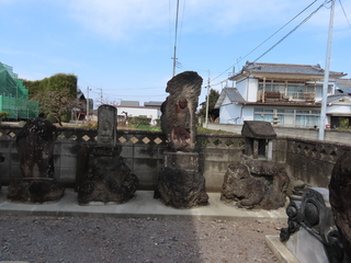 IMG_3626.JPG