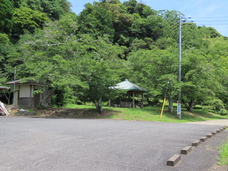 IMG_3671.JPG