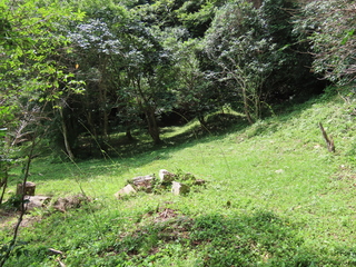 IMG_3679.JPG