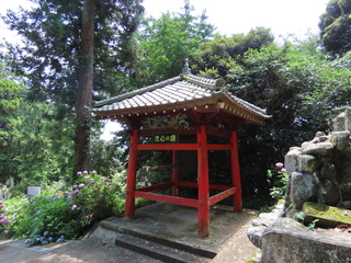 IMG_3695.JPG