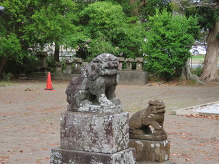 IMG_3725.JPG