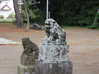 IMG_3726.JPG