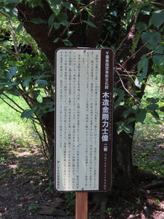 IMG_3764.JPG