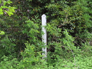IMG_3780.JPG
