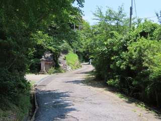 IMG_3783.JPG