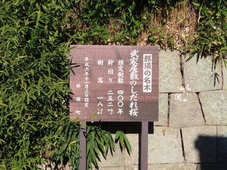 IMG_3834.JPG
