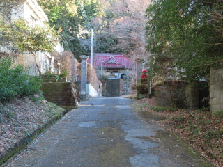 IMG_3841.JPG