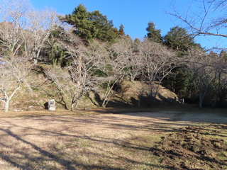 IMG_3960.JPG