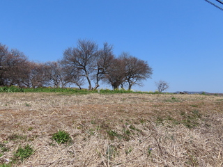 IMG_3979.JPG