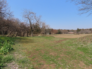 IMG_4020.JPG