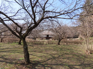 IMG_4073.JPG