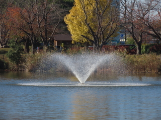 IMG_4151.JPG
