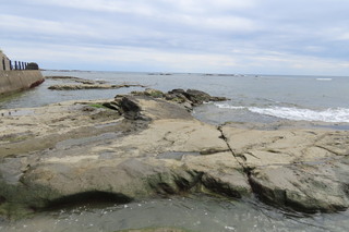 reef