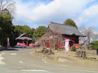 IMG_4235.JPG