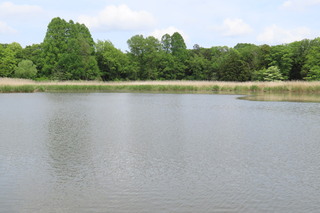 pond