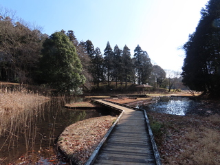 boardwalk