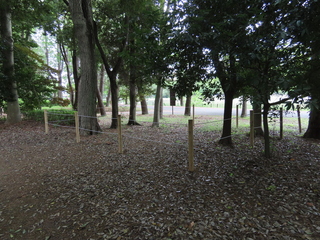 protected area