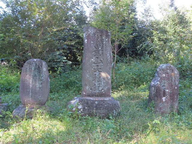 IMG_4573.JPG