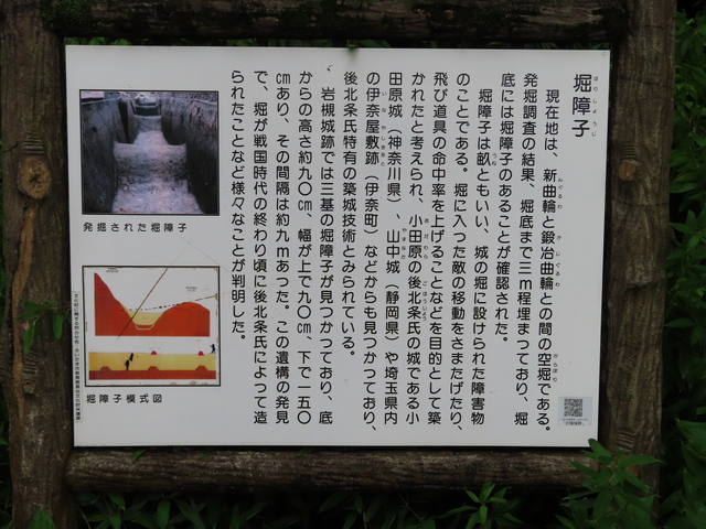 IMG_4600.JPG