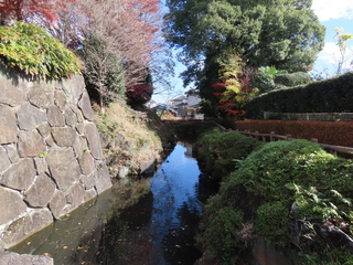 IMG_4619.JPG