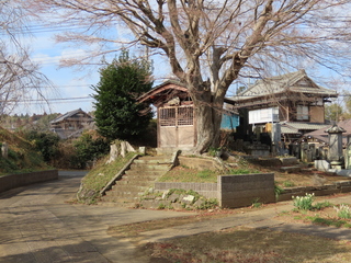 IMG_4651.JPG