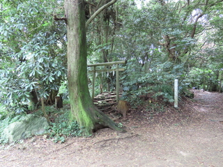 IMG_4700.JPG