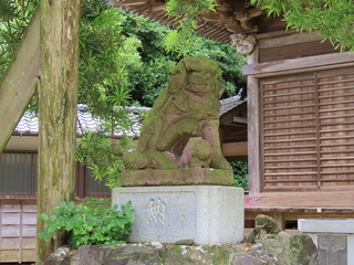 IMG_4717.JPG