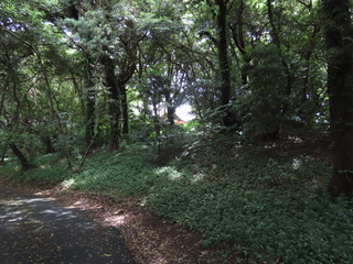 IMG_4738.JPG