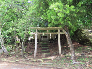 IMG_4742.JPG