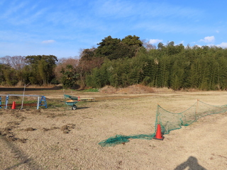 IMG_4767.JPG